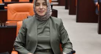 AK Parti Grup Başkanvekili Özlem Zengin, AIDS Nedeniyle Ölen Çocuğun Durumunu Açıkladı