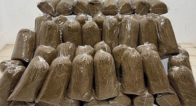 Samsun'da Yapılan Operasyonda 250 Kilo Kaçak Tütün Yakalandı