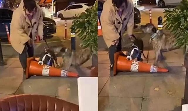 İstanbul Bebek'te Ağızlıksız Pitbull Saldırısı: Sahibi İkinci Kez Ceza Aldı