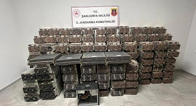 Ahır kılıfındaki kripto para tesisi yakalandı
