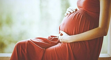 Bilimde çığır açan gelişme: Yapay rahimde embriyolar tutundu