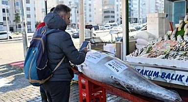 Karadeniz’de Rekor Av: Akçakoca Açıklarında Yakalanan Orkinos Şaşkınlık Yarattı