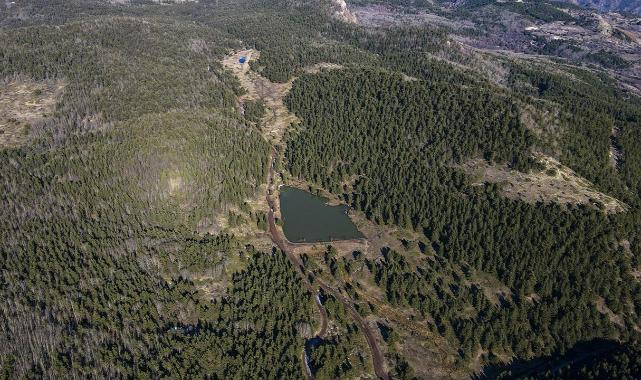 Ankara Çubuk'ta ormanlara girişler 30 Eylül'e kadar yasaklandı