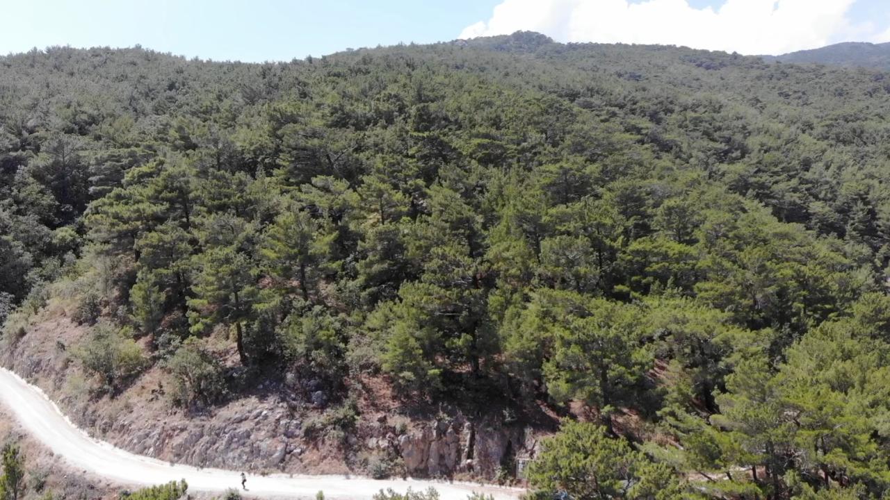 Erzurum'da ormanlara giriş 30 Ekim'e kadar yasaklandı